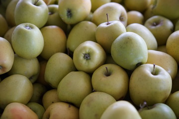 full frame apple