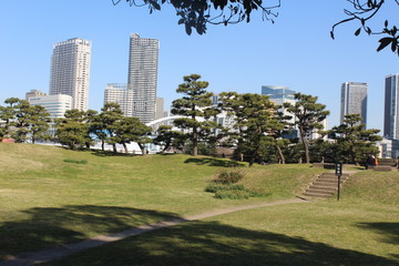 Hamarikyu Gardens with Tokyo in the back ground