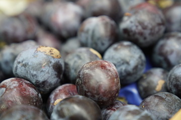 Fresh plums background stock photo