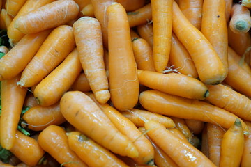 Fresh carrot  background stock photo