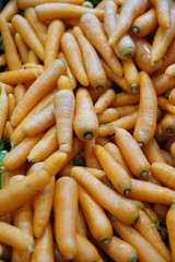 Fresh carrot  background stock photo