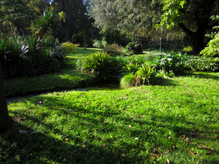 Garden of Ninfa