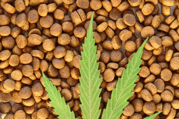 Dog and cat treats and cannabis leaves isolated over white background - CBD and medical marijuana for pets concept, Medical and recreational marijuana and cannabis
