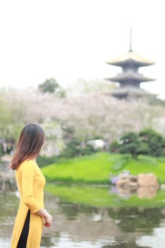 Wuhan Chity Hubei Province China, May 6-2019: A lady standing at Wuhan East Lake Sakura Garden