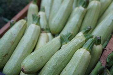 full frame  zuccini stock photo