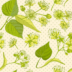 Linden blossom hand drawn seamless pattern with flower, lives and branch in yellow and green colors on light beige background. Retro vintage graphic design Botanical sketch drawing