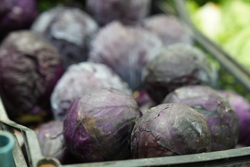 Fototapeta na wymiar Red cabbage stock photo