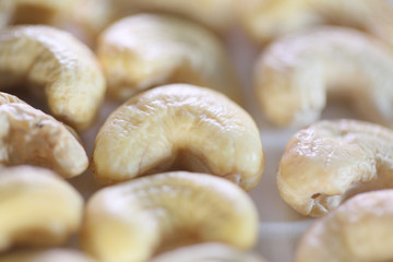 cashew nuts organic tasty seed