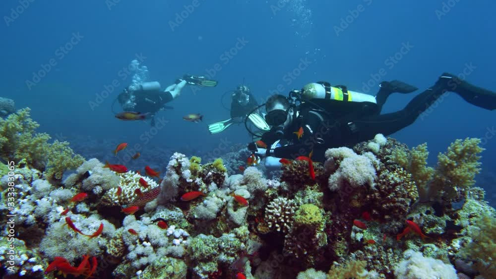 Wall mural cave diving underwater scuba divers exploring cave dive. red sea egypt