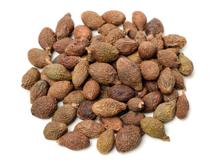 Sterculia lychnophora on white background