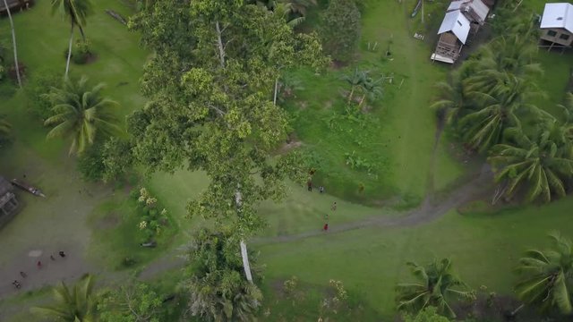 Bird&rsquo;s Eye view, villager walking around and kids playing on the green grassland, huts and palm trees in the background in Kanganaman Village, Sepik Region, Papua New Guinea