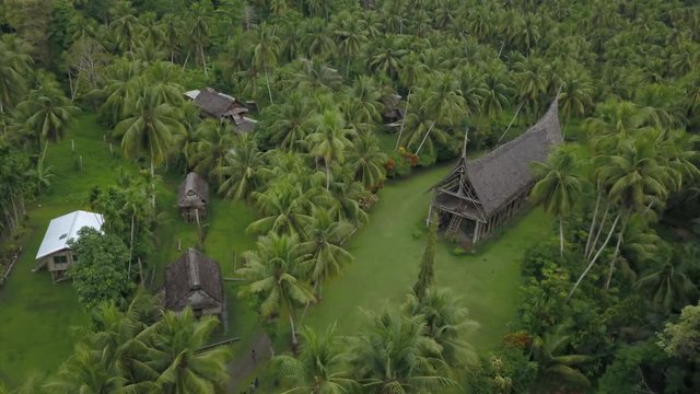 Aerial view slow moving shot, scenic view of Haus Tambaran and palm trees in Kanganaman Village, Sepik Region, Papua New Guinea