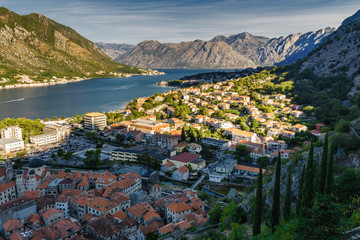 Sunny morning panoramic view of Kotor bay from ruins of Kotor's castle of San Giovanni, Montenegro.