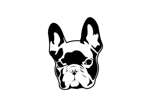 Handsome Black French Bulldog Logo. This is Frenchie Series in Black & White  style. 