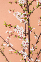 오렌지색바탕에 그림같은 꽃