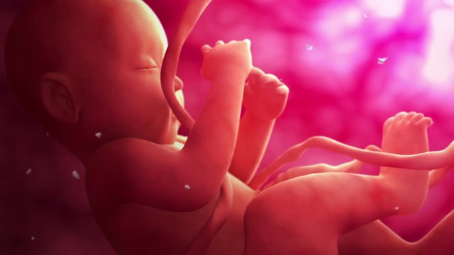 Biomedical animation of a fetus inside its mothers womb.