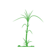 Fototapeta premium Sugar cane Logo Template vector symbol