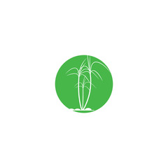 Sugar cane Logo Template vector symbol