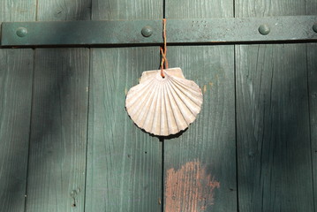 coquille SAINT JACQUES DE COMPOSTELLE