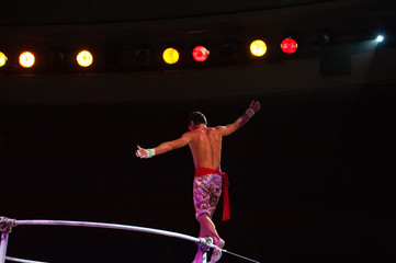 Performance of air acrobats in the circus