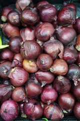 full frame onion on the market