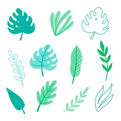 Tropical summer leaf set for wallpaper, greeting card, poster design. Exotic floral decoration of hawaii style. Vector illuatration of trendy style.