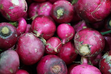 full frame radish stock photo