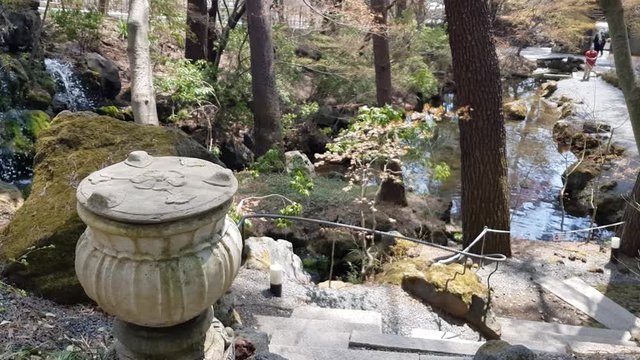 Calm Japanese garden