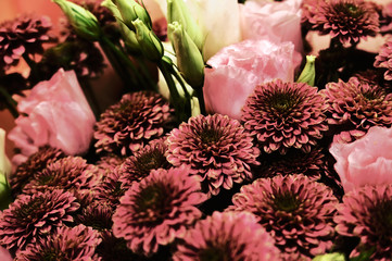 Bouquet of pink flowers and light green buds