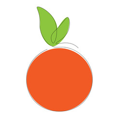 Orange fruit citrus icon, vector illustration