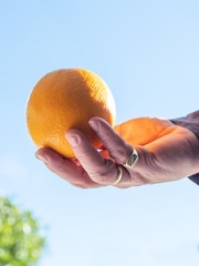 Detail of male hands holding an orange, the man is wearing gold rings against a blue sky