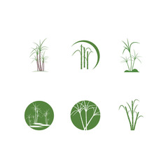 Sugar cane Logo Template vector