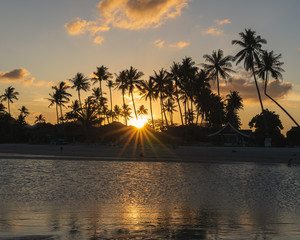 Sunbeams shine through palm trees on the beach at sunset