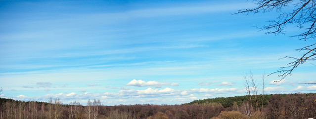 horizontal panorama. blue sky with white clouds and treetops