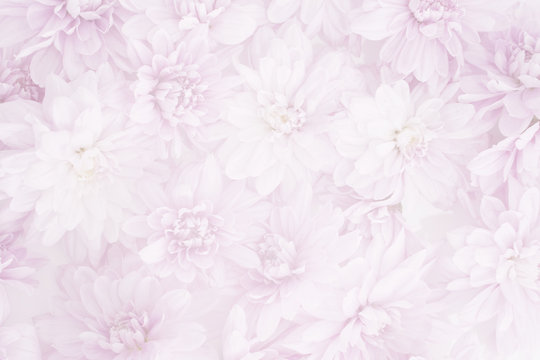 Funeral Background Purple Images – Browse 2,630 Stock Photos, Vectors