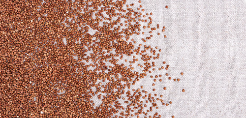 Cereal Buckwheat close up as background with copy space. Buckwheat croup on coarse cloth. Healthy food. Natural organic grain. Rustic fon. Banner for website.