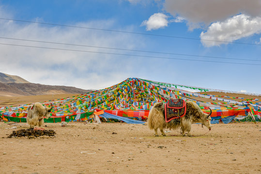 Landscape of Tanggula mountain, Tibet, China.