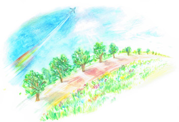 並木道　飛行機雲　青空