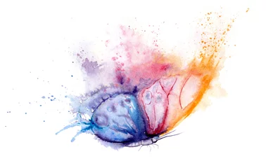 Wanddecoratie Grunge vlinders aquareltekening - vlinder gemaakt van vlekken en spatten  © Toshka