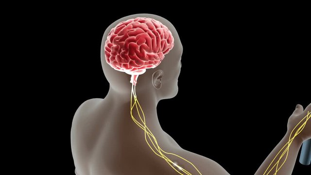 Biomedical animationof pain perception threshold.