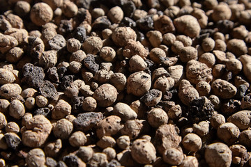 Expanded clay aggregate