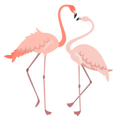 Male and female flamingo. Pink birds in flat style isolated on white background.