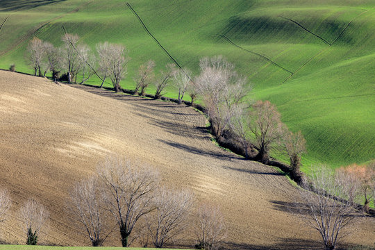 Corinaldo (AN), Italy - January 1, 2019: The landscape near Corinaldo village, Corinaldo, Ancona, Marche, Italy