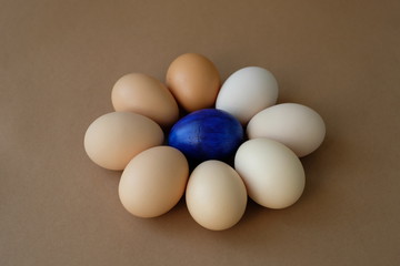blue egg in circle of eggs in shades of beige. minimalism. top view. brown background