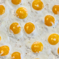 Seamless texture of fried eggs.