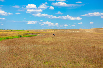  open space of steppe landscape