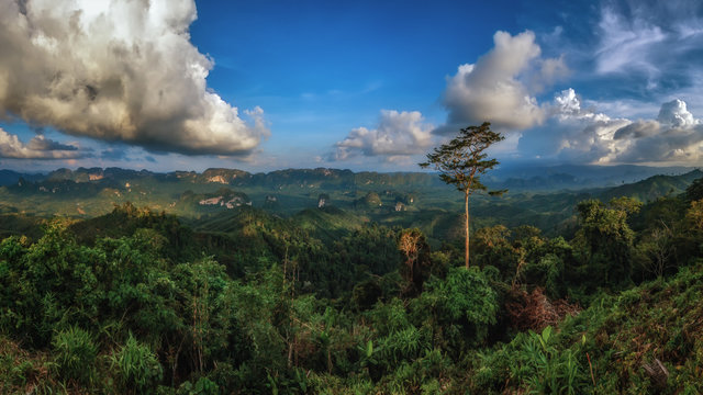 Doi TaPang