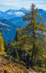 Peaceful autumn Alps mountain sunny view from hiking path from Dorfgastein to Paarseen lakes, Land Salzburg, Austria.