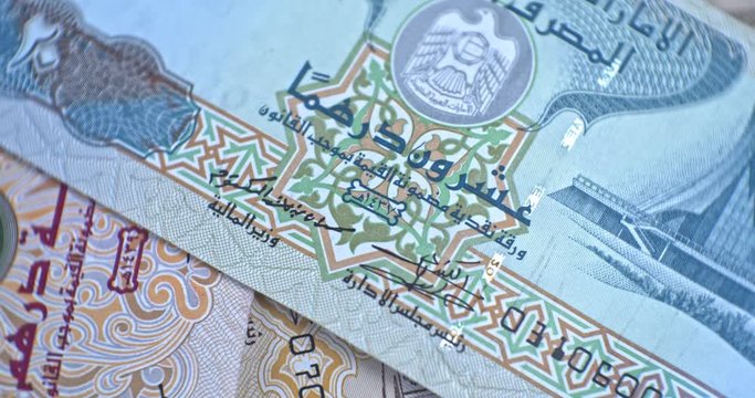 United Arab Emirates 20 dirham banknote, UAE Emirati money closeup