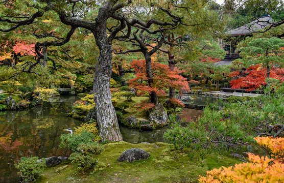 Foliage landscape in Kyoto, Japan.